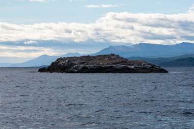 Lapataia Körfezi manzarası, Tierra del Fuego. Ushuaia, Arjantin 'deki Atlantik Okyanusu manzarası.