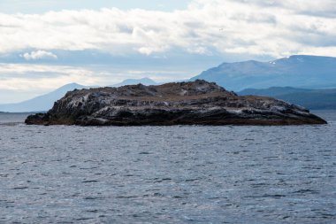 Lapataia Körfezi manzarası, Tierra del Fuego. Ushuaia, Arjantin 'deki Atlantik Okyanusu manzarası.