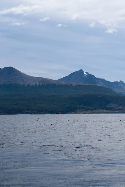 Lapataia Bay Landskap Tierra Del Fuego Landskap Över Atlanten Ushuaia — Stockfoto