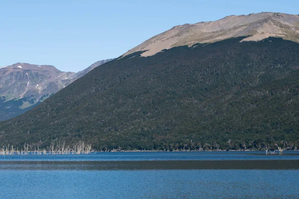 ラパティア湾の風景 ティエラ フエゴ アルゼンチン ウシュアイアの大西洋の風景 — ストック写真