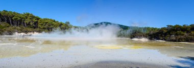 Wai-O-Tapu, Termal Harikalar Diyarı Yeni Zelanda 'daki volkanik aktivitelerden dolayı sıcak çamur ve sülfür kaynaklı jeotermal manzara