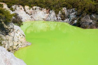 Wai-O-Tapu, Termal Harikalar Diyarı Yeni Zelanda 'daki volkanik aktivitelerden dolayı sıcak çamur ve sülfür kaynaklı jeotermal manzara
