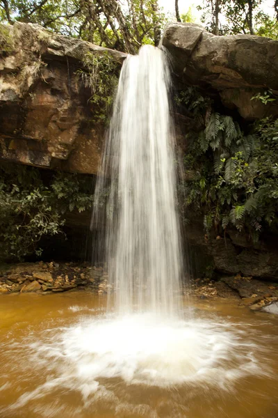 Cachoeira vale das borboletas — Stok fotoğraf
