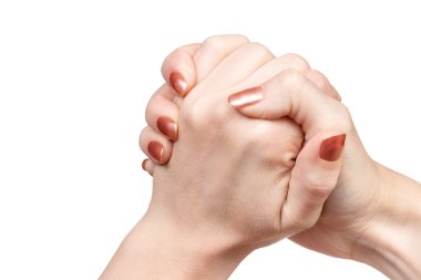 Dostluk gösteren jest