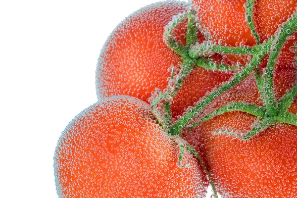 Su altında domates Şubesi — Stok fotoğraf