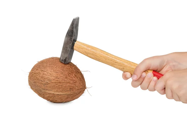 Breaking coconut with a hammer — Stock Photo, Image