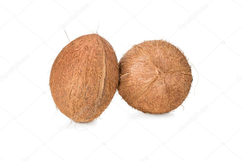Two whole uncut coconuts Stock Photo by ©GrashAlex 116300308