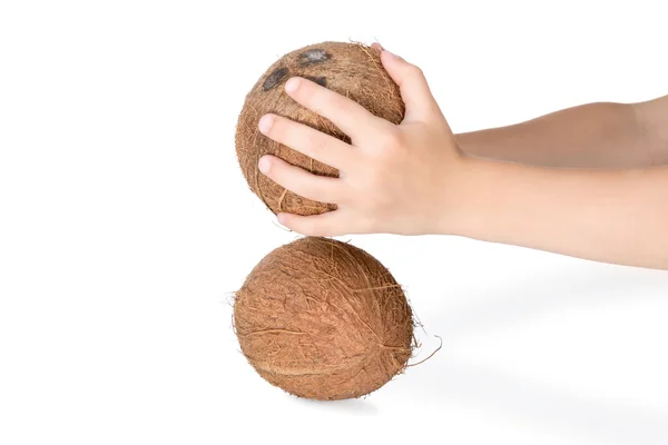 Battre la noix de coco les uns contre les autres — Photo