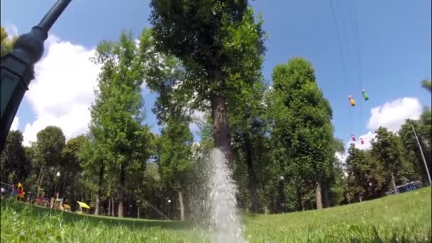 Watering grass in the park — Stock Video