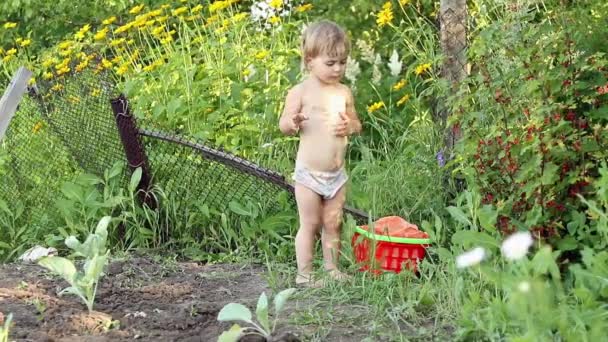 Kind is het eten van rode aalbessen — Stockvideo