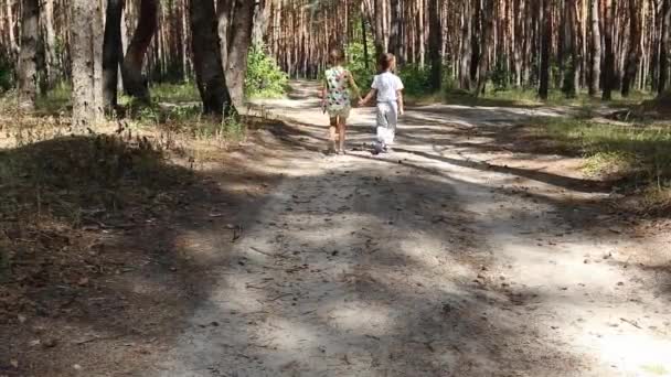 Los niños van por el camino — Vídeos de Stock