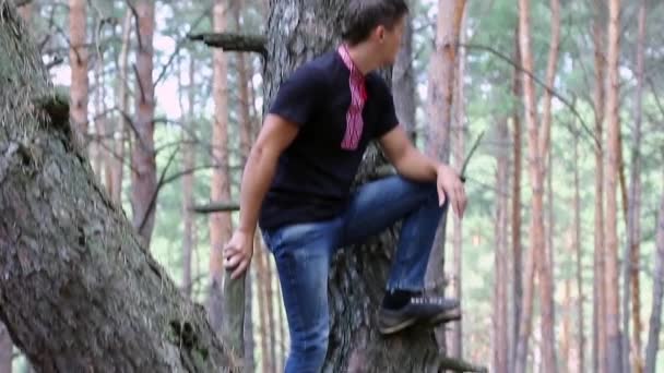 男が木からジャンプします。 — ストック動画