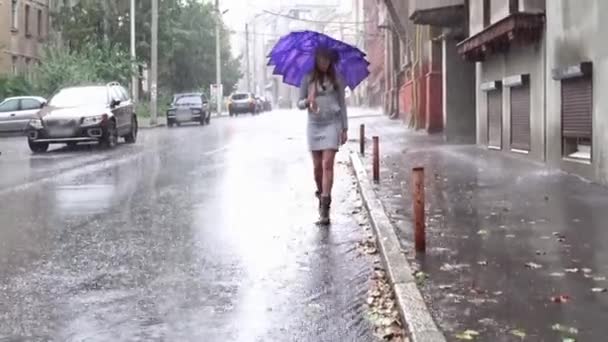 Frau mit Regenschirm — Stockvideo