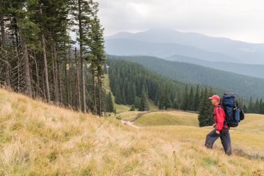 Bir sırt çantası ile gidiş turizm