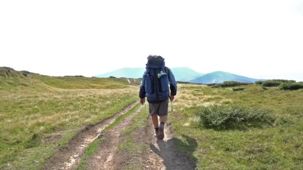 Toeristische wandelen in de bergen — Stockvideo