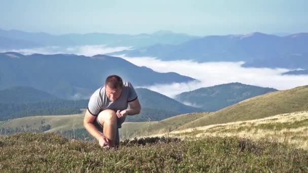 Mann pflückt und isst Blaubeeren — Stockvideo