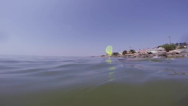 Pêcheurs pêchant avec des filets — Video