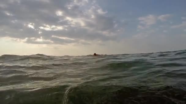 남자 수영 접영 스트로크 — 비디오