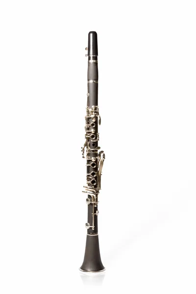 Flauta preta — Fotografia de Stock