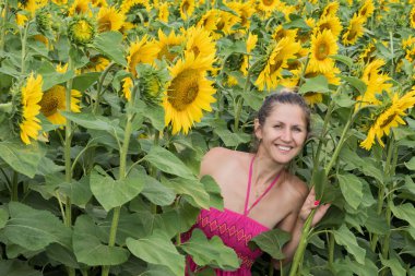 Bayan ayçiçeği alanına yürüyor