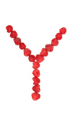 Ahududu yapılan Y harfi