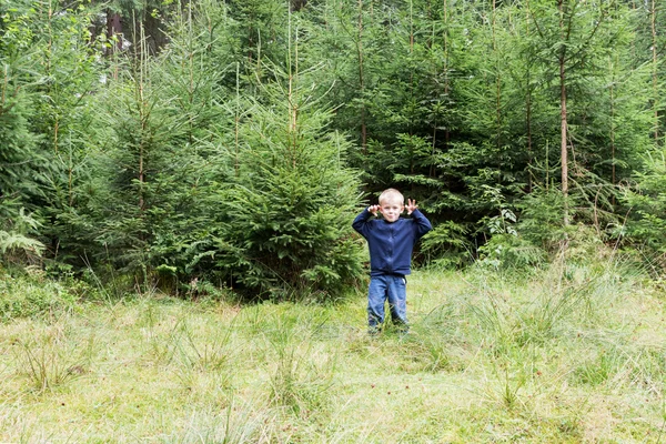 Retrato de un niño en el bosque —  Fotos de Stock