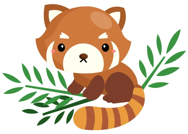 Lindo panda rojo — Vector de stock