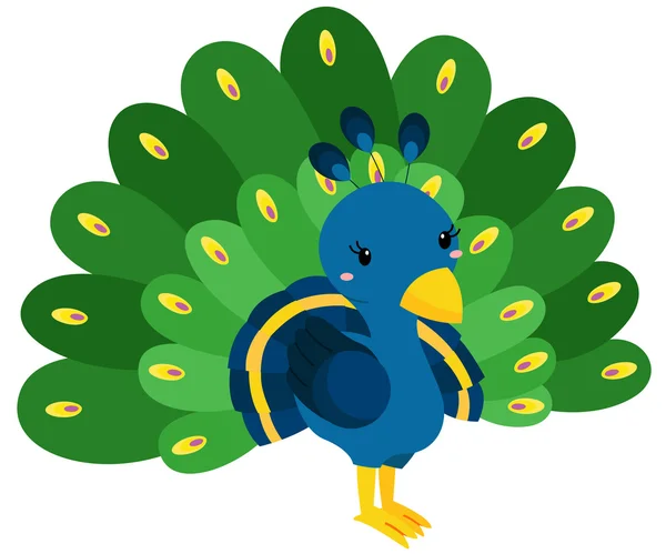 Pavo real lindo — Vector de stock