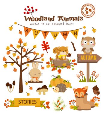 Animal Woodland Autumn Vector Set