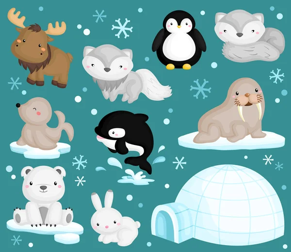 Arktik hayvan vektör Set