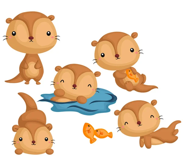 Otter Vector Set — Stock Vector