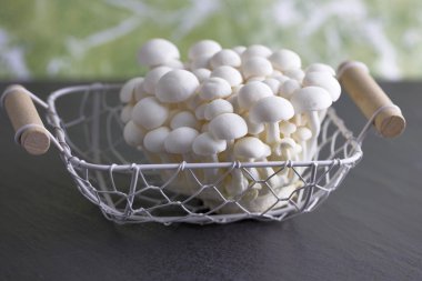 Ham ve beyaz Bunapi mantar