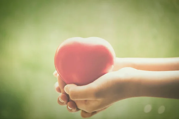 Young Child Hands Holding Small Red Heart Health Medicine Charity — Stock Photo, Image