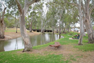 Bordertown 'daki Tolmer Park' taki Little Creek manzarası. Bu alan 1850 'de Güney Avustralya' nın altın eskort kamplarından birini gösteriyor. 6 Aralık 2014 'te Güney Avustralya, Bordertown' da çekildi..