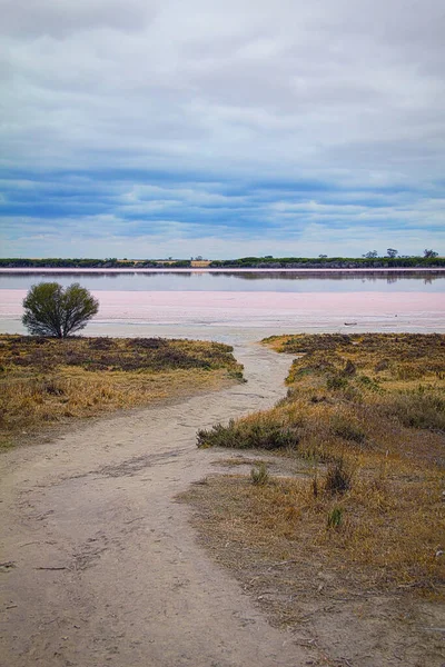 Вид Мальовниче Рожеве Озеро Австралії Рожеве Озеро Англ Pink Lake — стокове фото