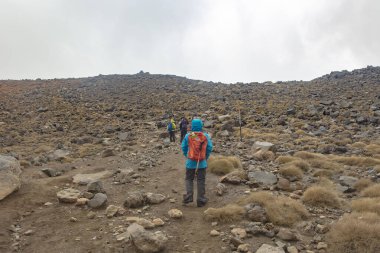 Tongariro Alp Geçidi 'ndeki Güney Krateri manzarası. 7 Aralık 2019 'da Tongariro Ulusal Parkı, Yeni Zelanda' da çekildi.