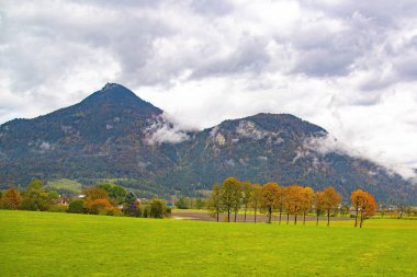 Avusturya 'nın kırsal kesiminin panoramik manzarası Salzburg' dan Viyana 'ya bir tren yolculuğundan alındı.