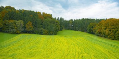 Avusturya 'nın kırsal kesiminin panoramik manzarası Salzburg' dan Viyana 'ya bir tren yolculuğundan alındı.
