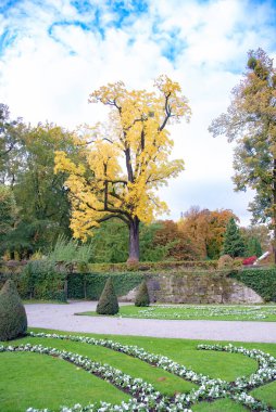 Mirabell Garden Sonbaharda, Salzburg Avusturya 20 Ekim 2016
