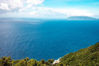 Güzel Yakushima adası kayalık kıyı ve yamaç manzarası, Kagoshima Bölgesi, Japonya