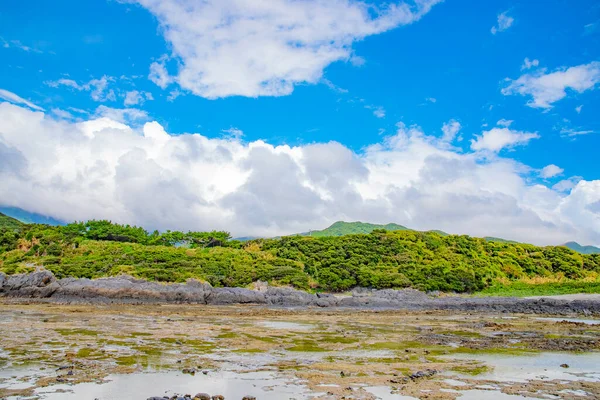 Прекрасний Пляж Острові Якусіма Японія — стокове фото