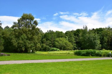 Kiel kasabasındaki Botanik Bahçesi 'ndeki güzel halk parkı sayısız ağaç ve bitkiden oluşur. Alındın, Kiel. Almanya 13 Temmuz 2016