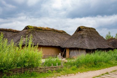 Viking Haithabu köyündeki arkeolojik bulgulara dayanarak Viking sazdan yapılmış ev. 15 Temmuz 2016 'da Busdorf, Almanya' da çekildi.