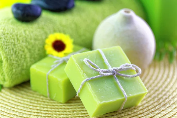 Spa tedavisi ayarı ile yeşil Tema