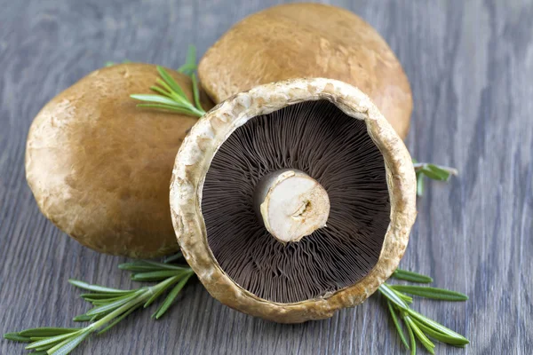 Portabello bbq mushroom — Stock Photo, Image