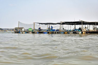 Balık çiftliği Asya