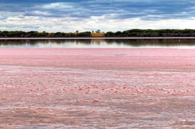 Dikkat çekici pembe Lake, Avustralya.