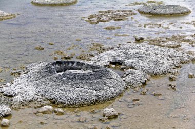 Değişeceği, göl Thetis, Batı Avustralya