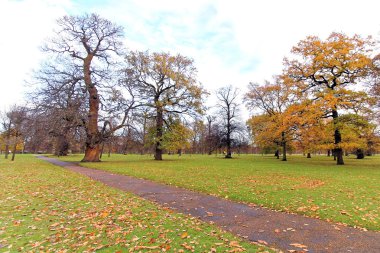 Park Londra, İngiltere