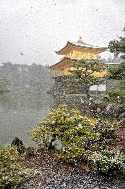 Kyoto, Japonya - 10 Mart 2014: Eski Japon altın kale, kış aylarında kar tapınakta Kinkakuji.